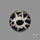 Black Septarian Cabochon