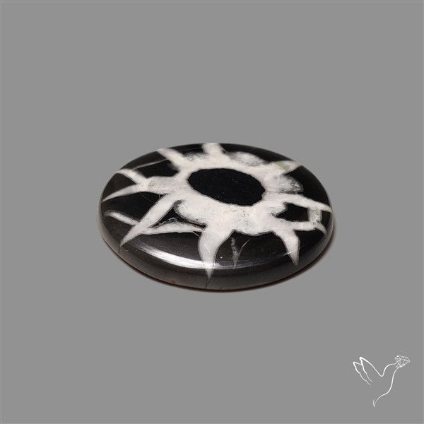 Black Septarian Cabochon