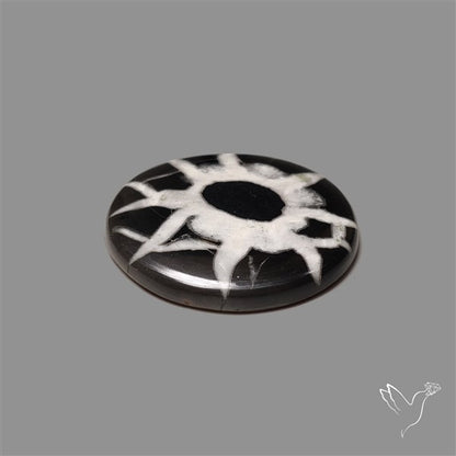 Black Septarian Cabochon