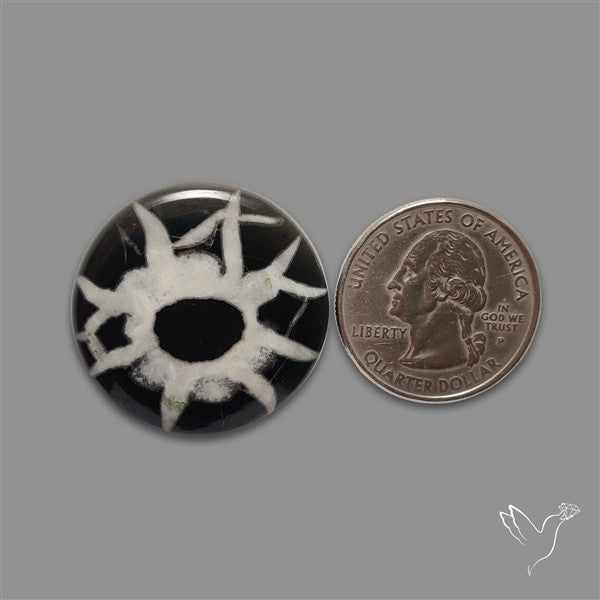 Black Septarian Cabochon