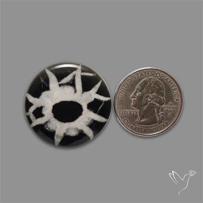 Black Septarian Cabochon