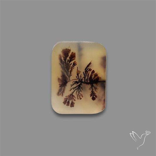 Scenic Agate Cabochon