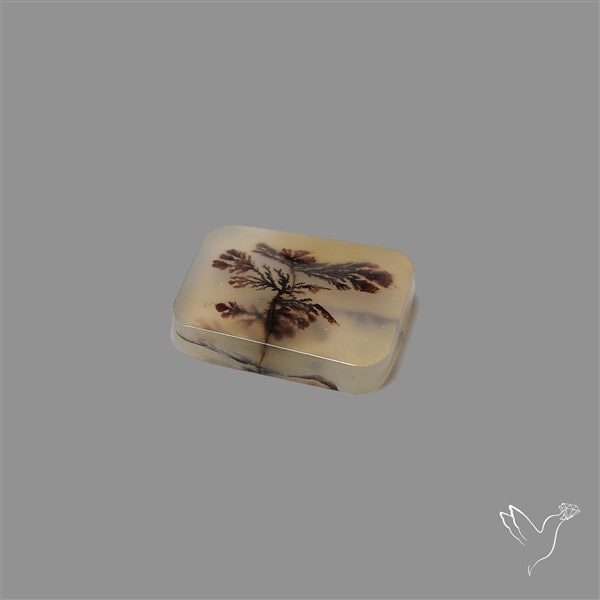 Scenic Agate Cabochon
