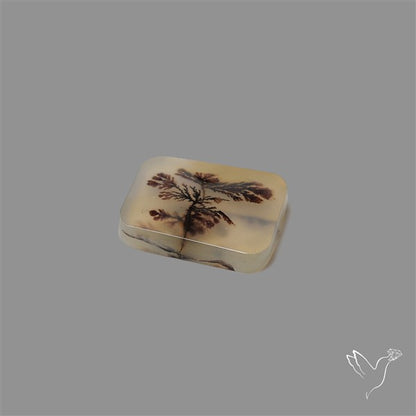 Scenic Agate Cabochon