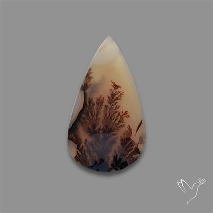 Scenic Agate Cabochon