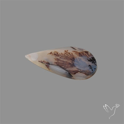 Scenic Agate Cabochon