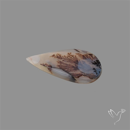 Scenic Agate Cabochon