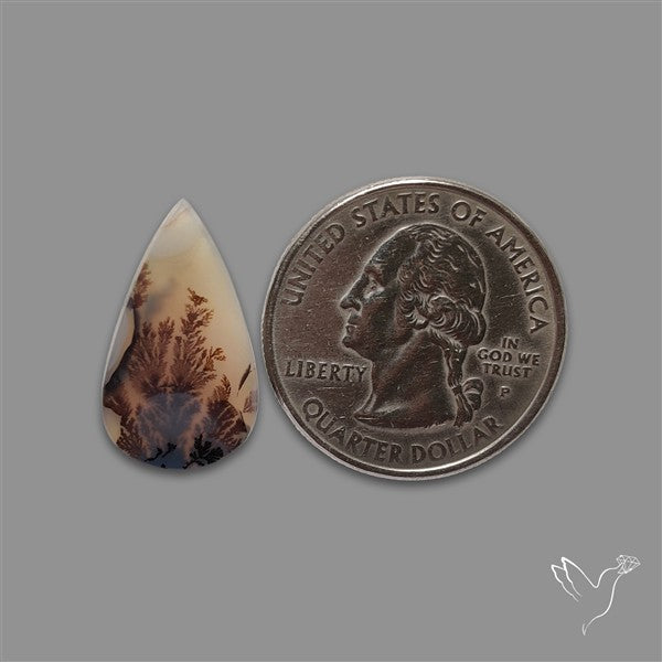 Scenic Agate Cabochon