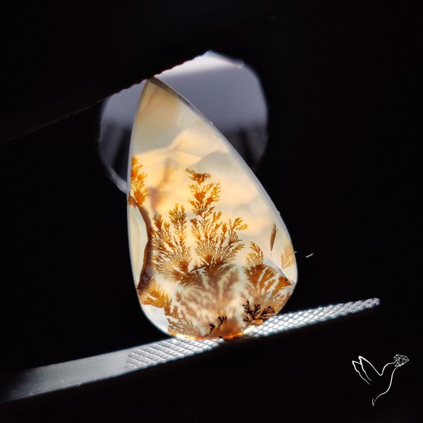 Scenic Agate Cabochon