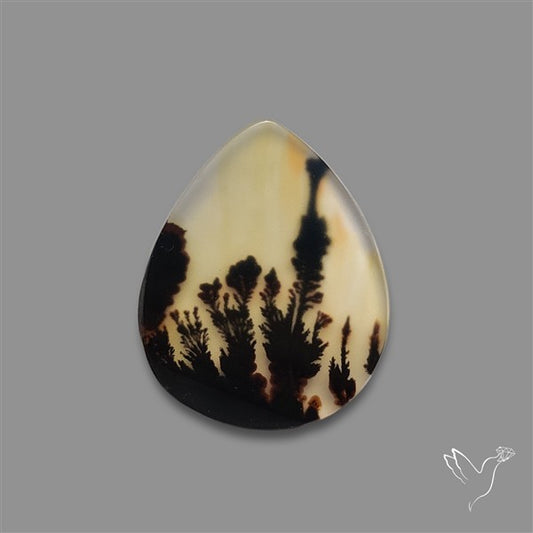 Scenic Agate Cabochon