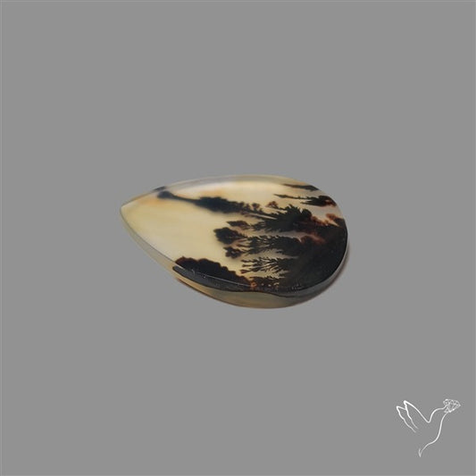 Scenic Agate Cabochon