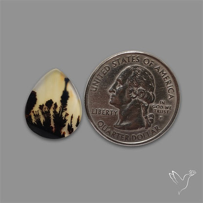 Scenic Agate Cabochon