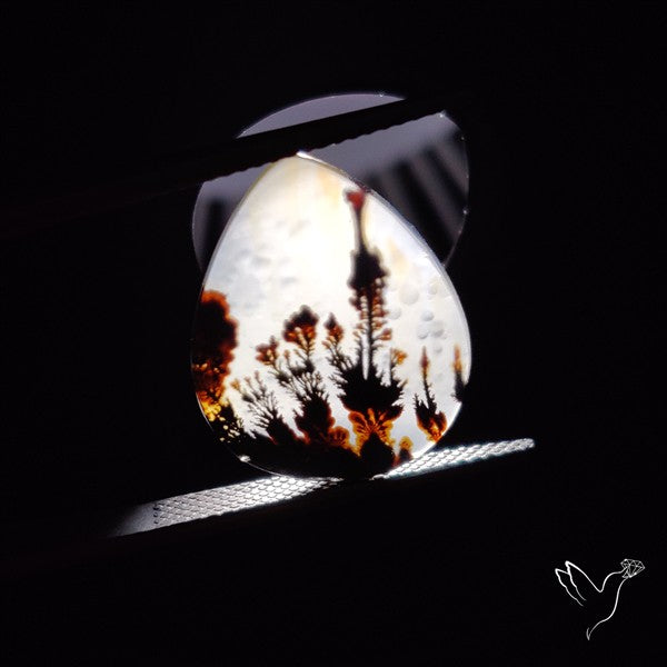 Scenic Agate Cabochon