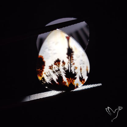 Scenic Agate Cabochon