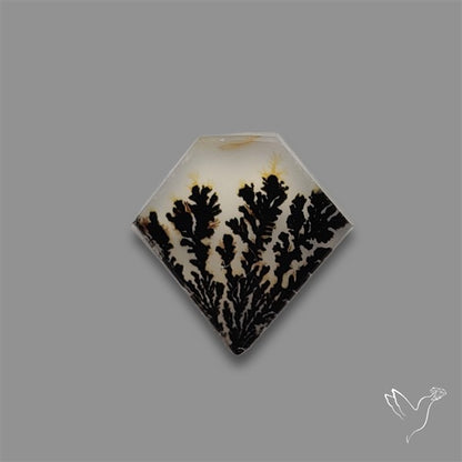 Scenic Agate Cabochon