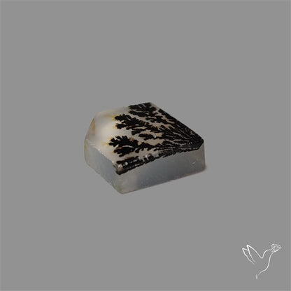 Scenic Agate Cabochon