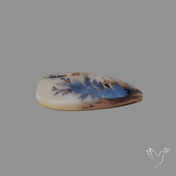Scenic Agate Cabochon