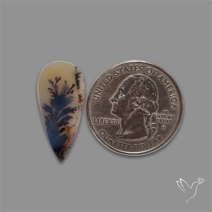 Scenic Agate Cabochon