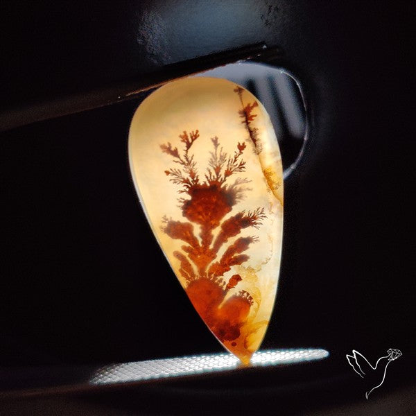 Scenic Agate Cabochon