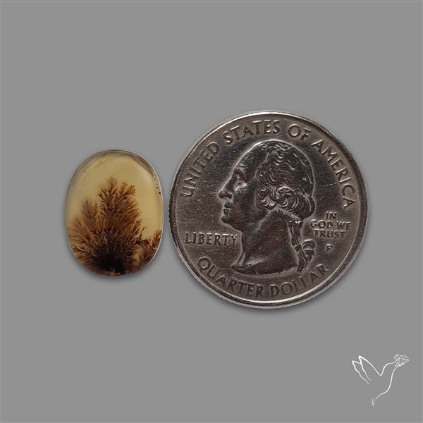 Scenic Agate Cabochon