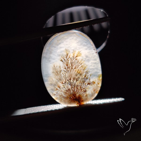 Scenic Agate Cabochon