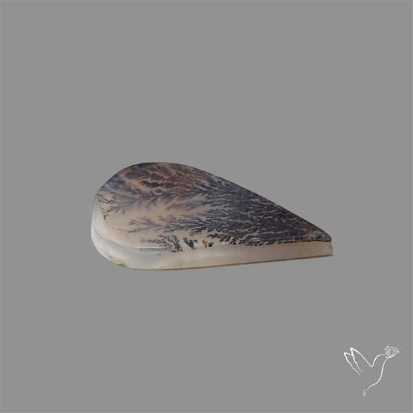 Scenic Agate Cabochon