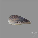 Scenic Agate Cabochon