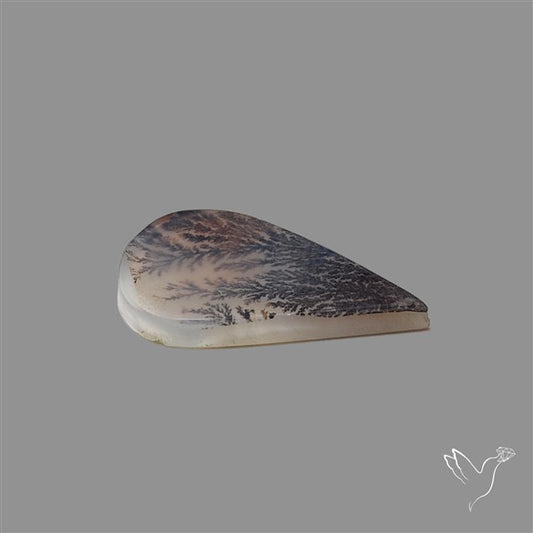 Scenic Agate Cabochon