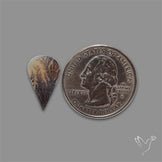 Scenic Agate Cabochon