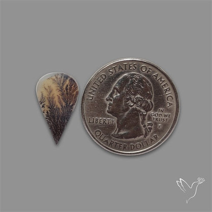 Scenic Agate Cabochon