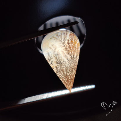 Scenic Agate Cabochon