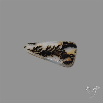 Scenic Agate Cabochon