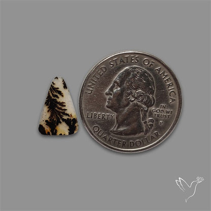 Scenic Agate Cabochon