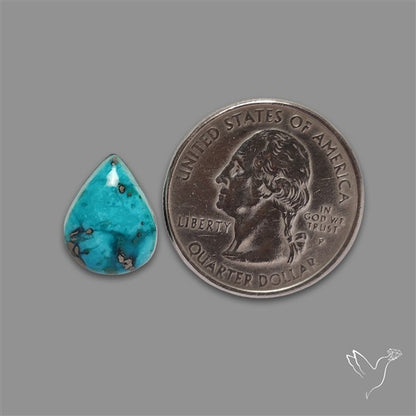 Morenci Mines Turquoise Cabochon (backed)
