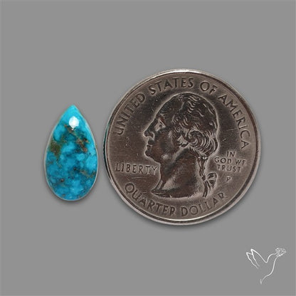 Morenci Mines Turquoise Cabochon (backed)
