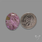 Stitchtite Cabochon