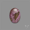 Stitchtite Cabochon
