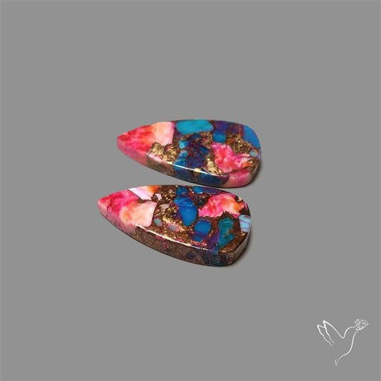 Spiny Oyster Mohave Turquoise Pair