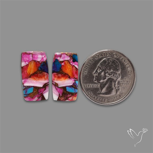 Spiny Oyster Mohave Turquoise Pair