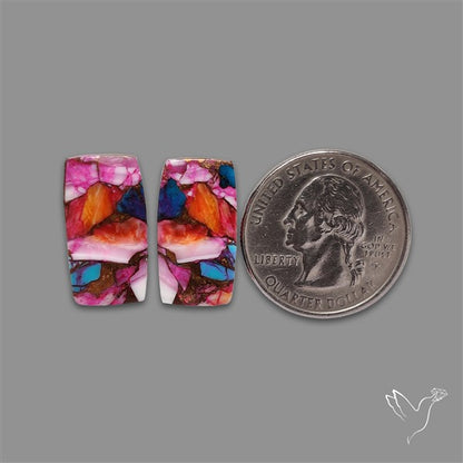Spiny Oyster Mohave Turquoise Pair
