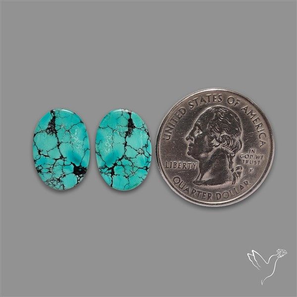 Hubei Turquoise Pair