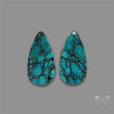 Hubei Turquoise Pair