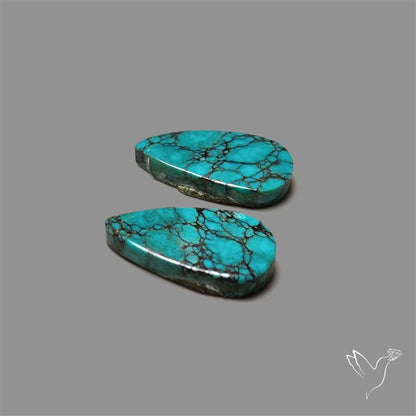 Hubei Turquoise Pair