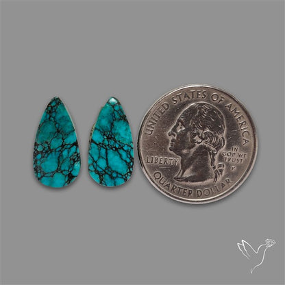 Hubei Turquoise Pair