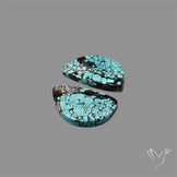 Hubei Turquoise Pair