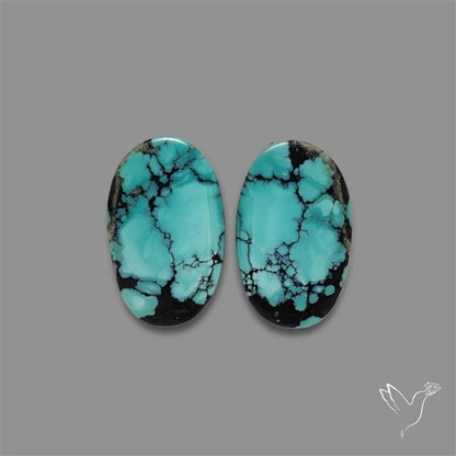 Hubei Turquoise Pair