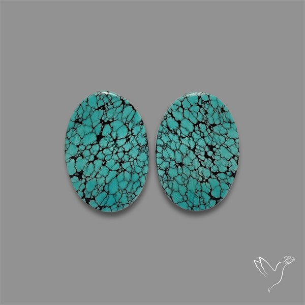 Hubei Turquoise Pair
