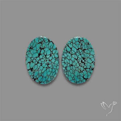 Hubei Turquoise Pair