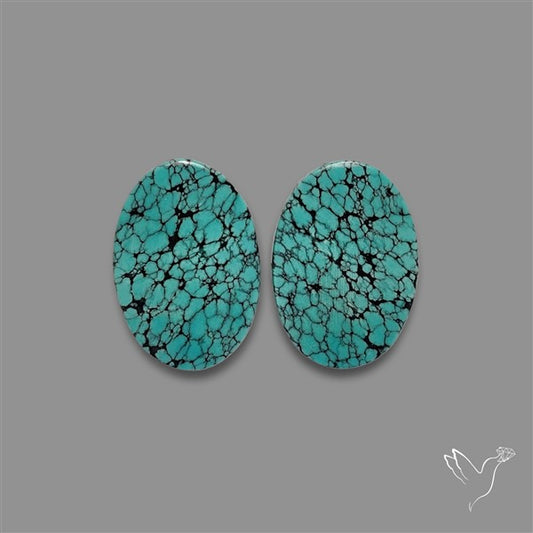 Hubei Turquoise Pair