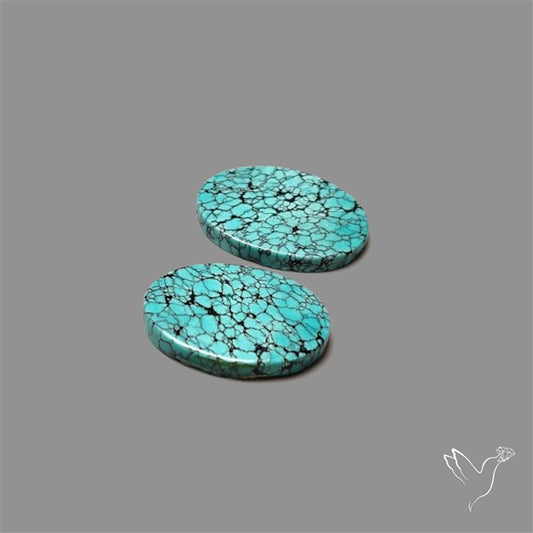 Hubei Turquoise Pair
